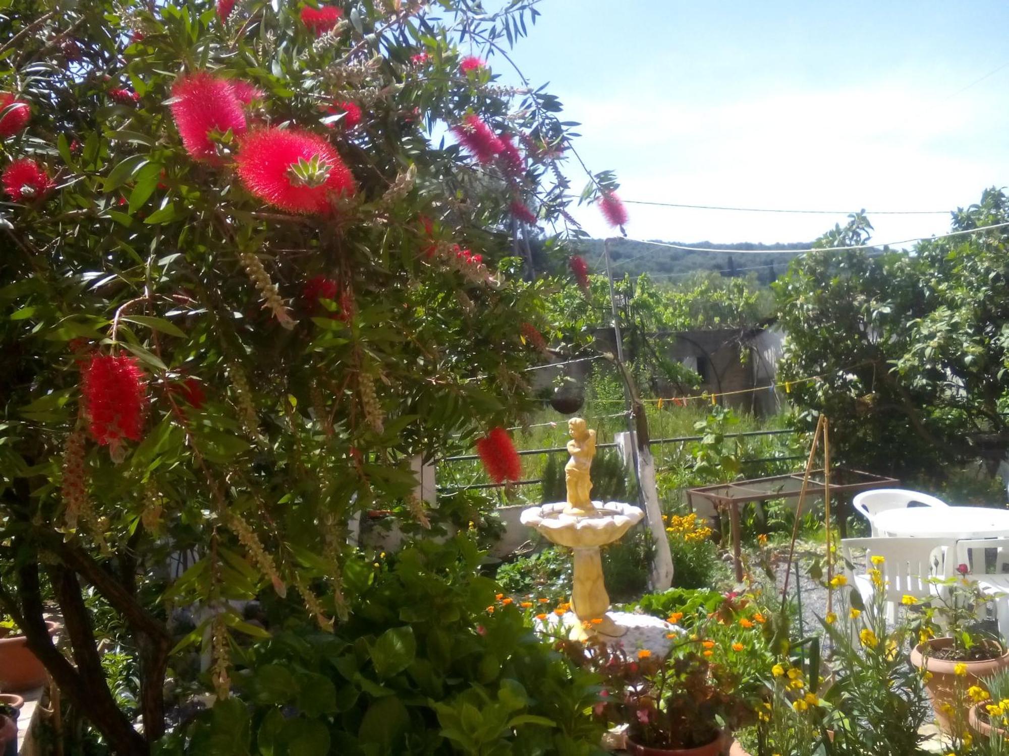 Paradise Studios Liapades Dış mekan fotoğraf